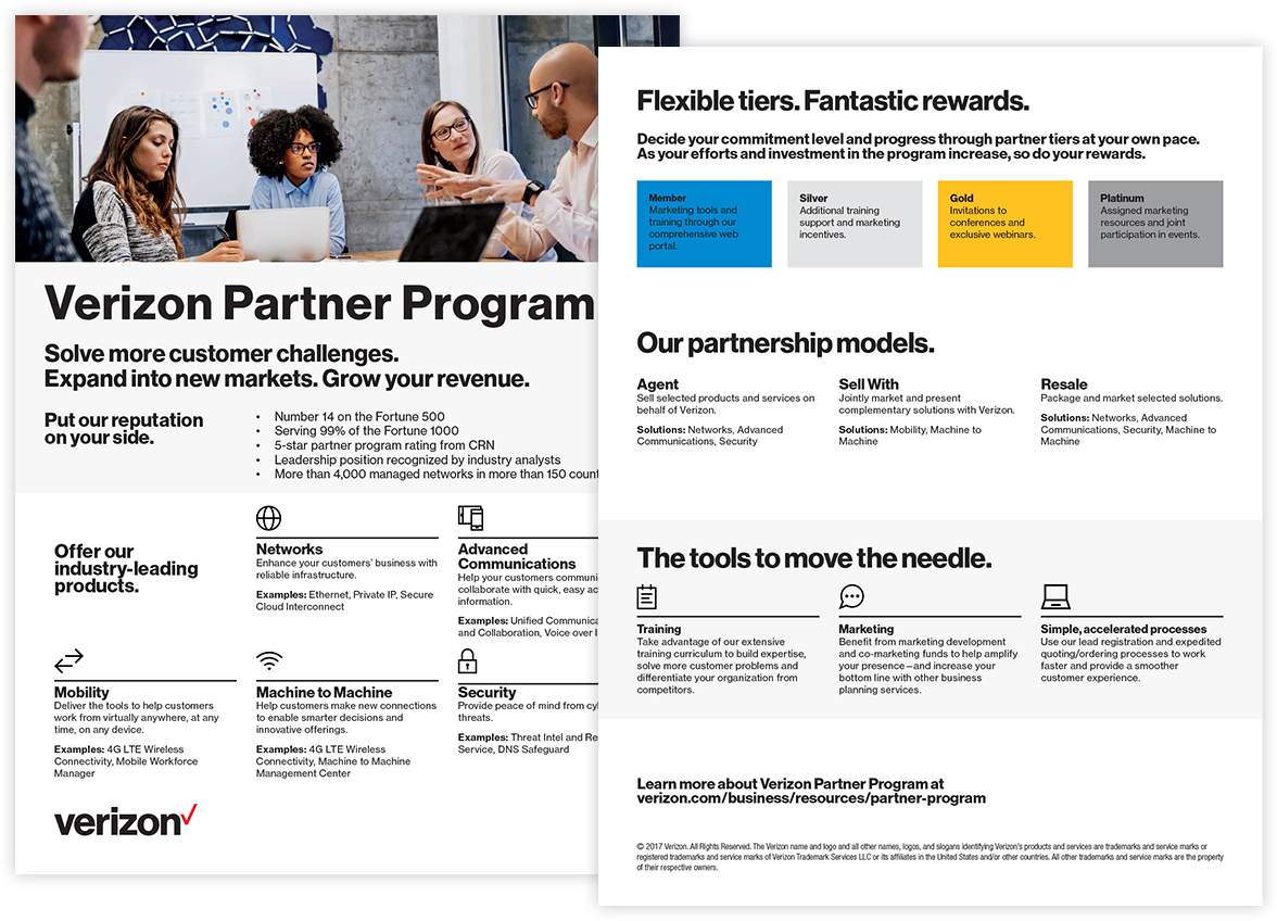 Entice your audience with a concise story Program overview for partner recruitment